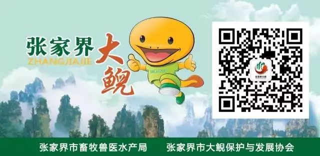推介讲话农产品会议纪要_农产品推介会讲话_农产品推介发言