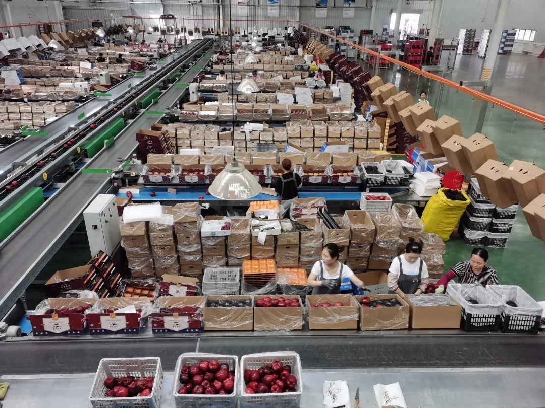 农产品卖难买贵原因_归纳概括农产品卖难的原因_农产品卖难买贵