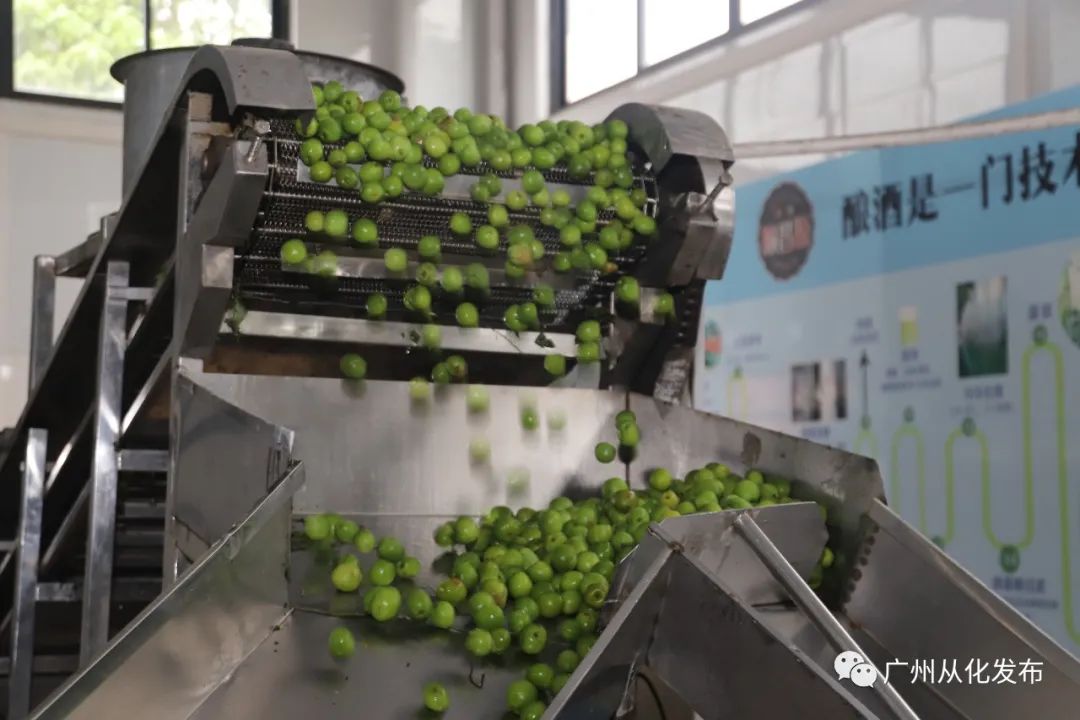 农产品贴牌是什么意思_销售贴牌产品违法吗_农产品贴牌销售