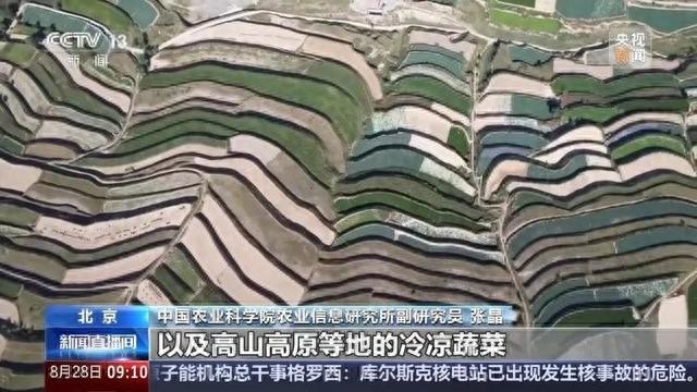 山东寿光蔬菜运输_寿光物流园蔬菜批发价格_山东寿光农产品物流园蔬菜价格