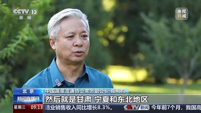 寿光物流园蔬菜批发价格_山东寿光农产品物流园蔬菜价格_山东寿光蔬菜运输
