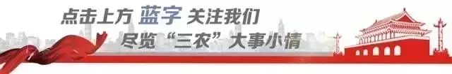 农产品打1成语_农成语有哪些成语_农产品 打一成语
