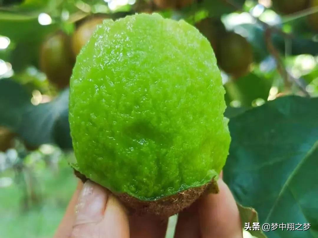 农户网上卖农产品_家里农产品怎么网上卖_网上卖农产品有哪些平台