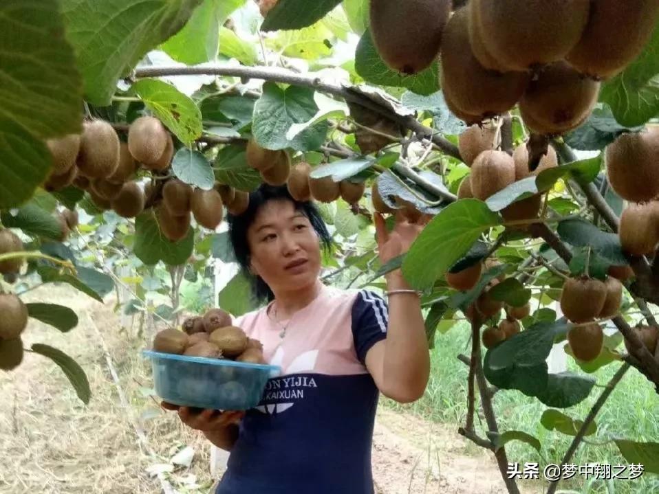 农户网上卖农产品_网上卖农产品有哪些平台_家里农产品怎么网上卖
