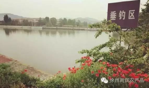 徐州雨润农产品全球采购中心_徐州雨润新城农产品_徐州雨润农副产品
