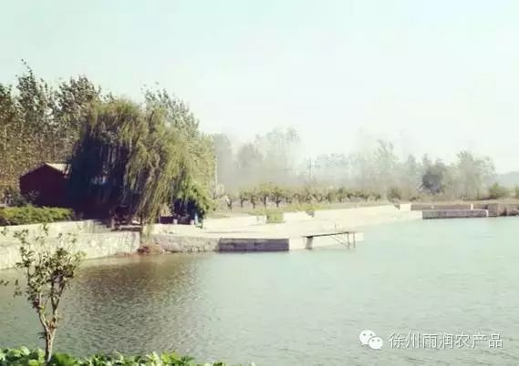 徐州雨润农副产品_徐州雨润农产品全球采购中心_徐州雨润新城农产品