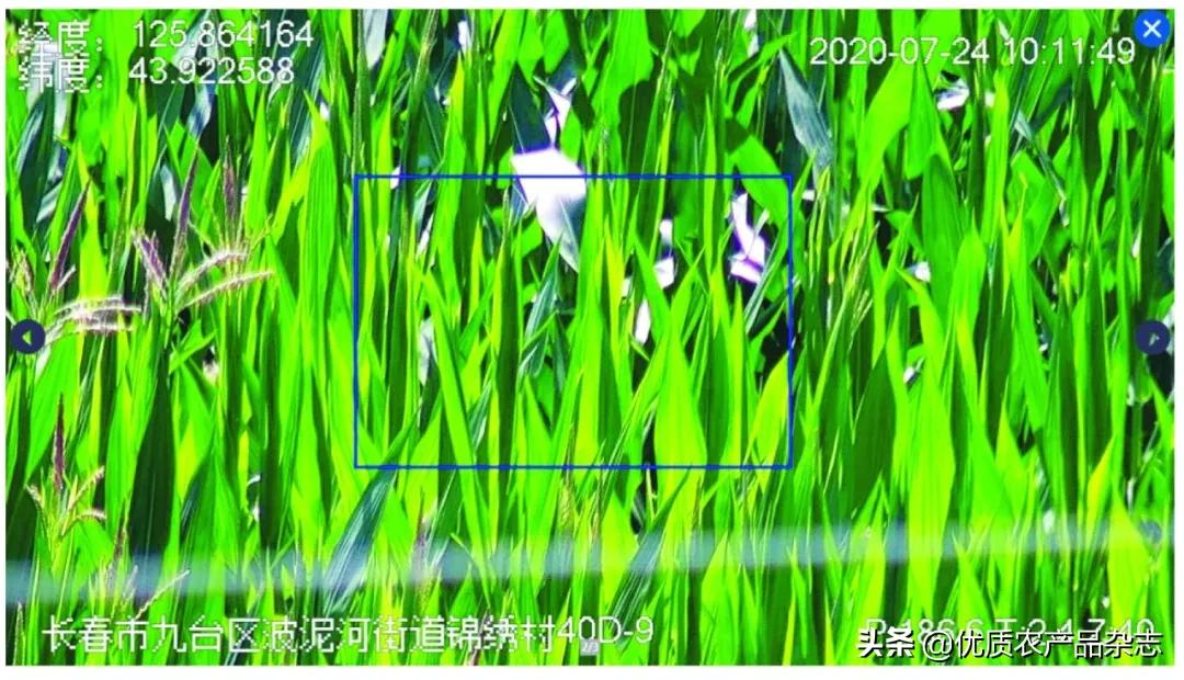 产品溯源的意义_产品溯源管理系统_农产品深度溯源