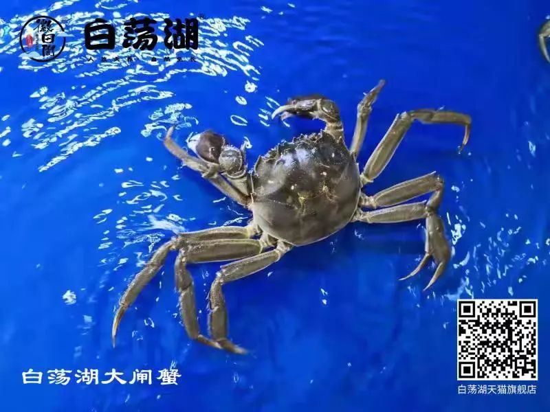 农产品展示馆_农产品展馆的简介_农展馆农产品展销