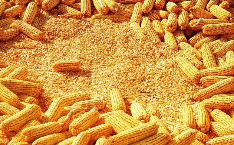 怎么做微商卖农产品_微商做农产品怎么样_农民做微商