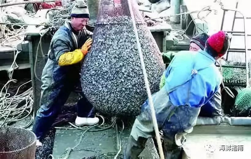 青岛红岛农贸市场_青岛红岛农产品_红岛街道农业农村服务中心
