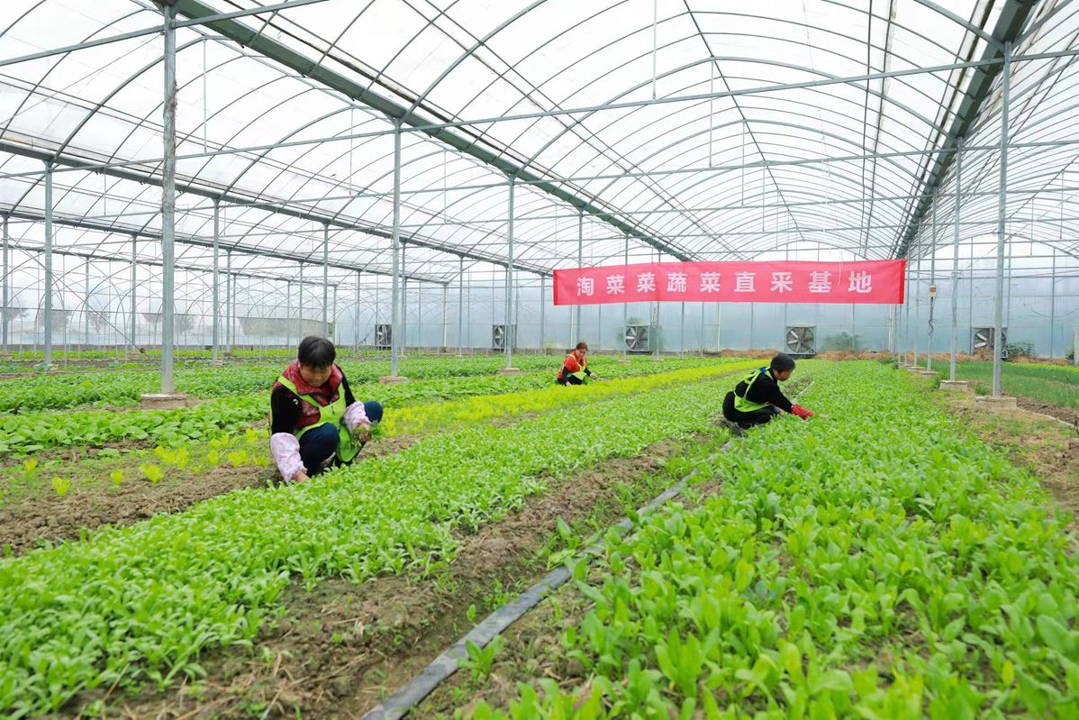 新零售下的农产品流通_农产品流通产业_农业流通企业销售农产品