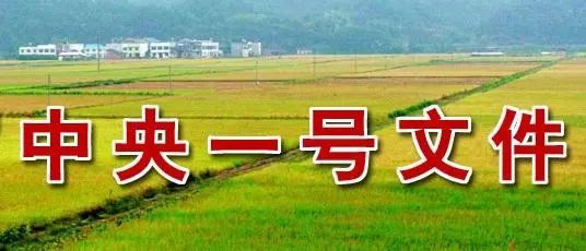华南农产品交易网_华南农资商城_华南农贸产品交易中心