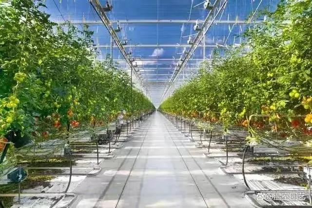 农产品出口额_农产品出口贸易额_出口农业
