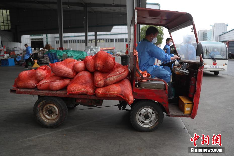 上海农产品中心批发市场_上海农产品中心批发市场价格_上海农产品市场中心批发市场