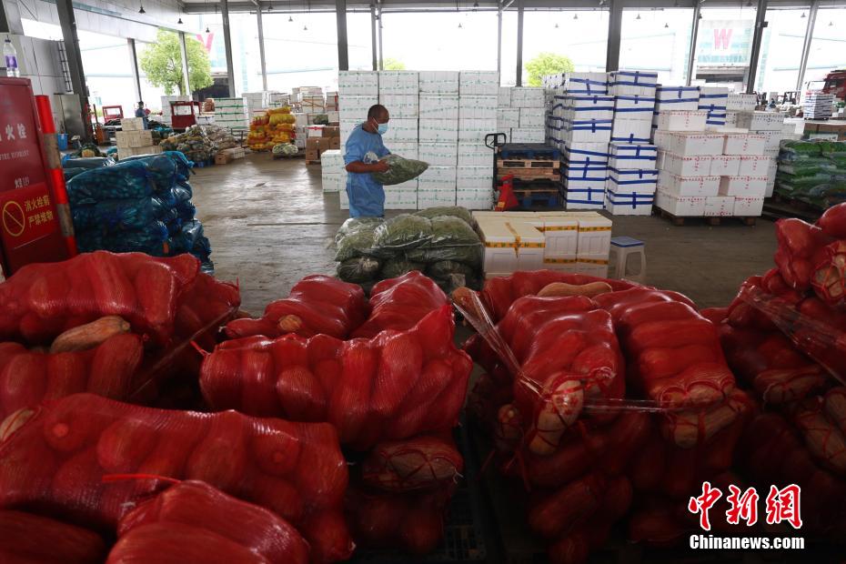 上海农产品中心批发市场_上海农产品市场中心批发市场_上海农产品中心批发市场价格