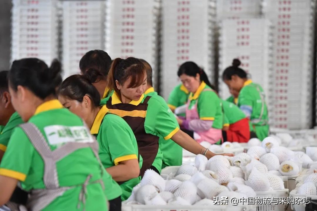 农产品销售对象_销售农产品对客户的服务_农产品的销售对象