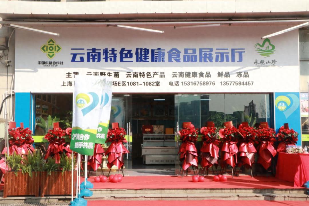 云南施甸永艳山珍展示厅上海开业，推广绿色健康山珍产品
