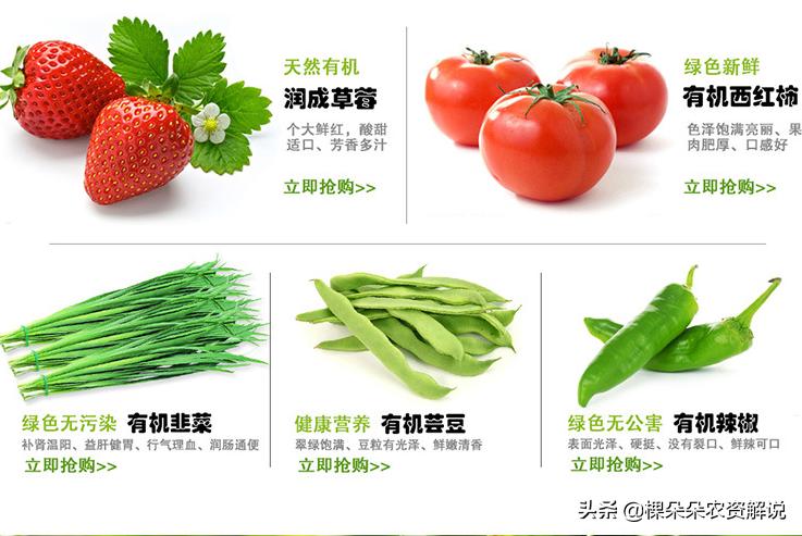 了解无公害农产品与绿色食品的安全标识及其重要性
