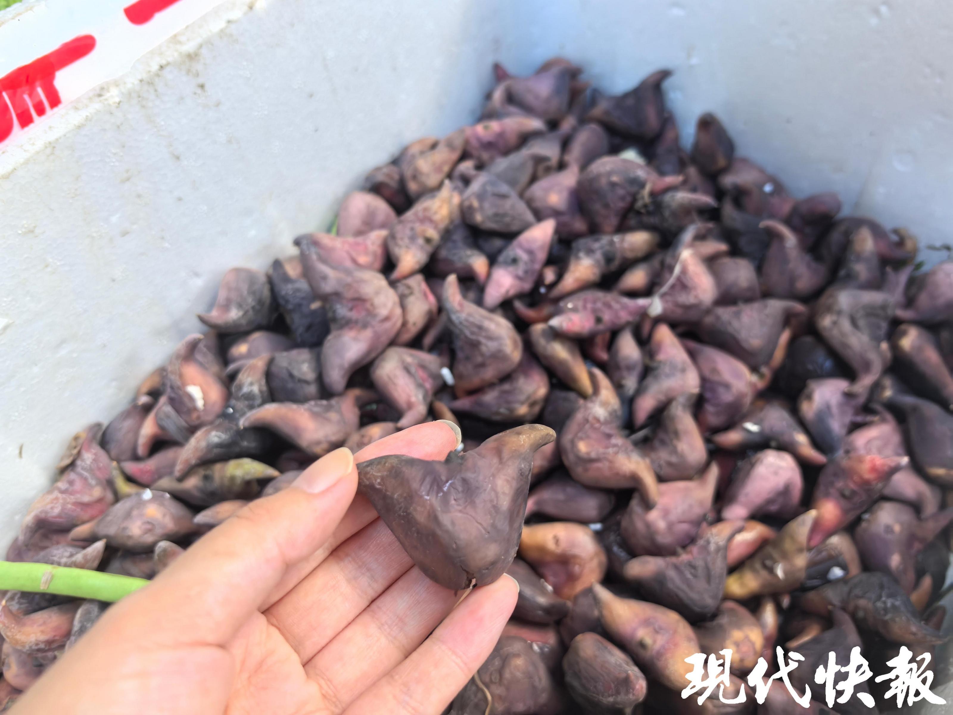 南京农产品价格查询_南京农产品_南京农产品交易中心