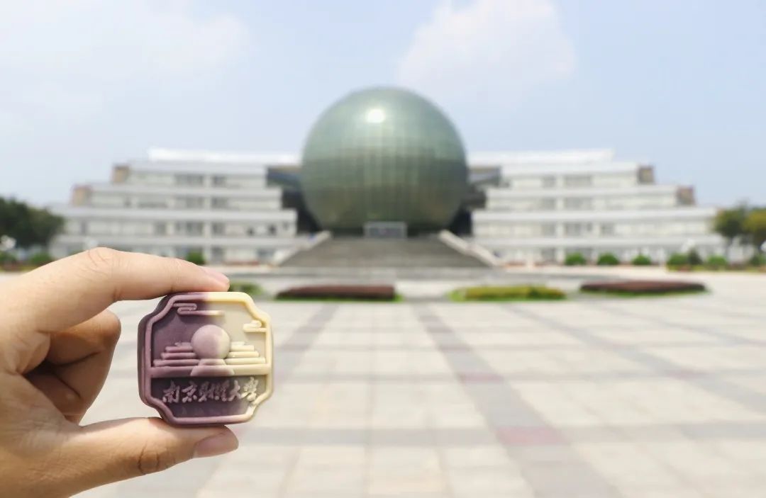 南京农业大学研发的食品_南京农业大学 农产品_南京农业大学产品设计