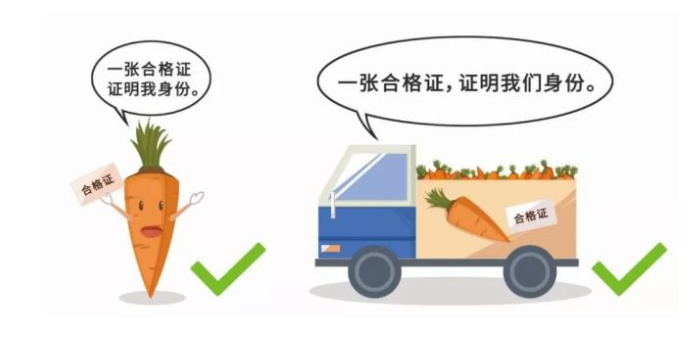 坚果属于什么产品类型_坚果属于农产品吗_坚果类农产品