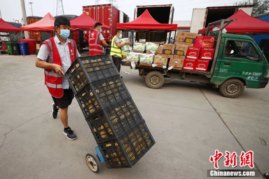 中国农产品出口市场结构_中国农产品出口_中国农产品出口市场
