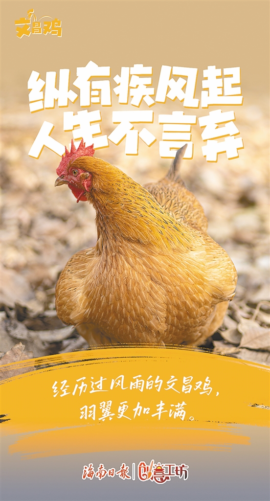 海南农省品牌产品经理招聘_海南省农产品品牌_海南农业品牌网