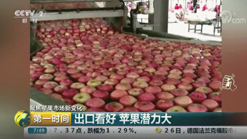 中国农产品出口市场结构_我国农产品出口市场_中国农产品出口市场