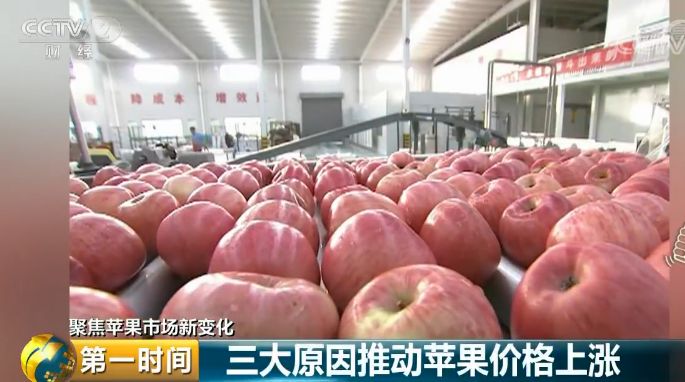 中国农产品出口市场_我国农产品出口市场_中国农产品出口市场结构