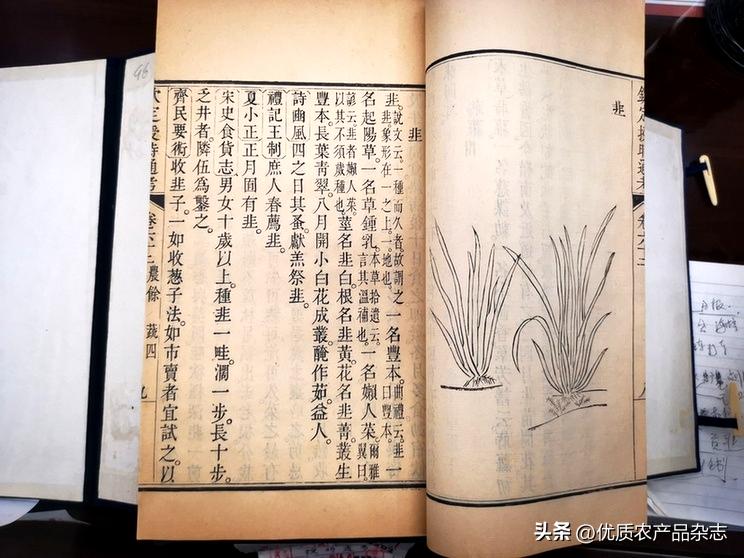 生态农产品_生态农副产品_生态农产品简介