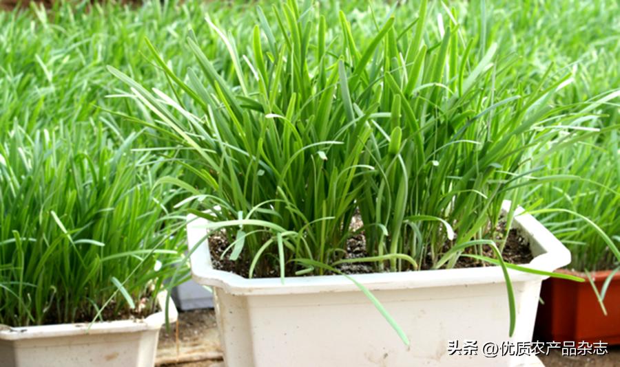生态农产品_生态农副产品_生态农产品简介