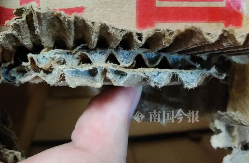 纸箱包装制品_纸箱厂包装_农产品包装纸箱
