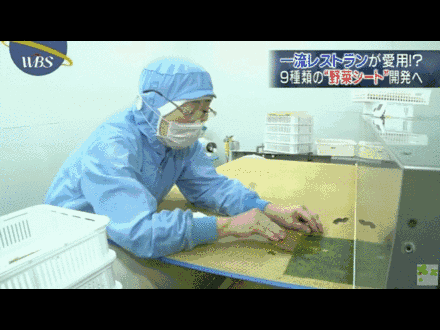 农产品的附加值是什么意思_高附加值农产品_高附加值农业产品
