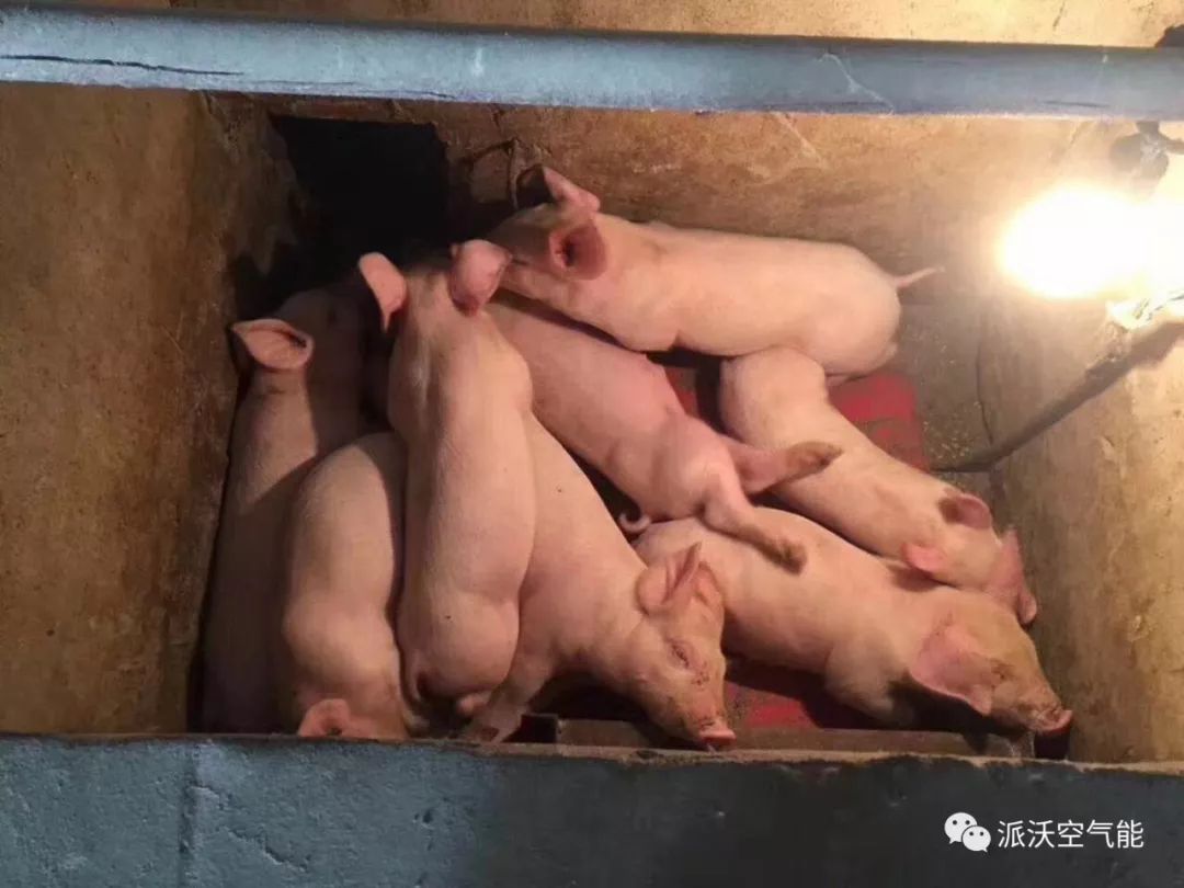 农产品:药材烤房设备烧煤_农村柴煤两用烤火炉子_农村型煤专用的炉子