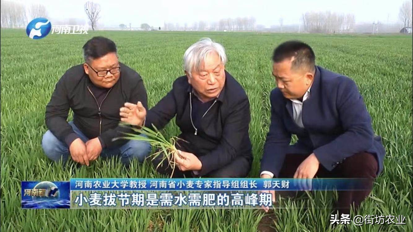 农业规划公司_农业发展有限公司规划书_农产品公司发展规划