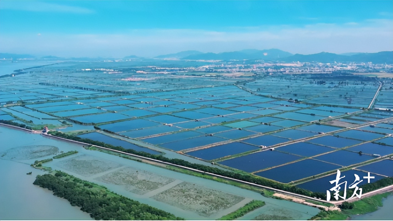 农业规划设计公司主要经营范围_农产品公司发展规划_农业发展公司规划发展计划书