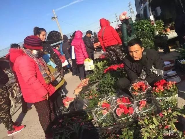 农展馆简介_农展馆农产品大集_农展馆农产品展销