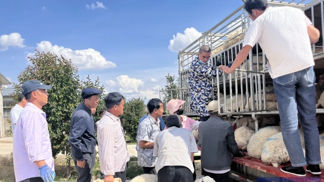 甘肃庆阳农产品基地_甘肃农业基地挂牌_甘肃庆阳农作物