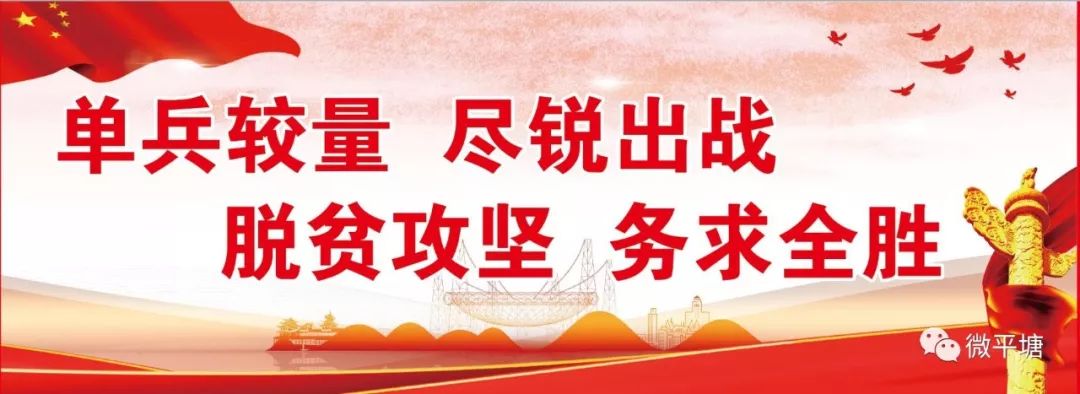 2018贵阳国际特色农产品交易会：平塘县百香果受热捧，600余斤迅速售罄