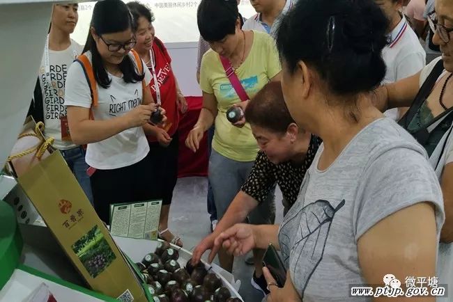 贵阳农产品展销会_贵阳农产品交易市场_贵阳国际农产品交易会