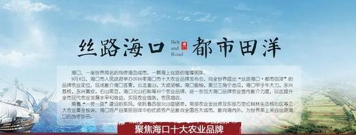海南大坡镇胡椒产业：绿色经济支柱，市场价值堪比金银