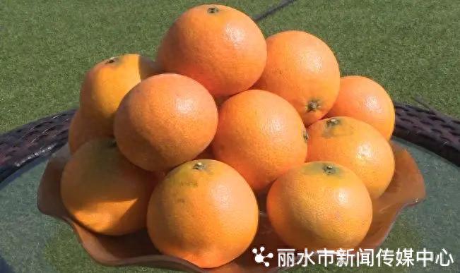 浙江省第三批263共富农产品名单公布，丽水市9个产品入围，推动山区农业高质量发展