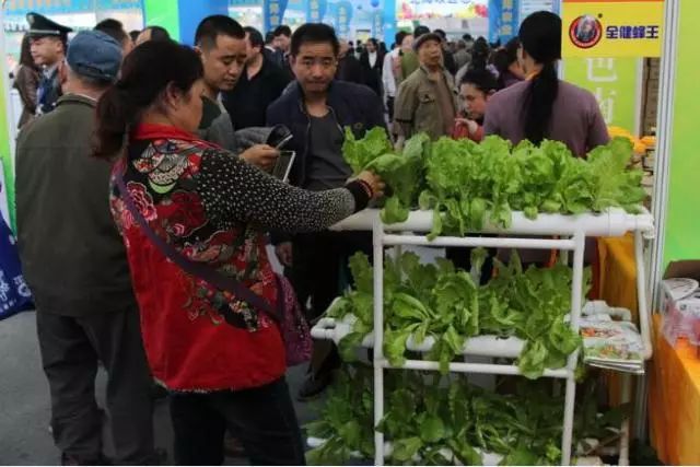 农资推广会主持词_农产品市场推广会议筹备方案_农资产品推广会邀请