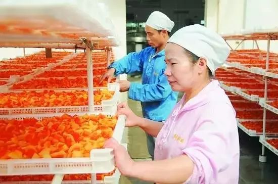 农产品深加工_加工类农产品_农加工产品税率