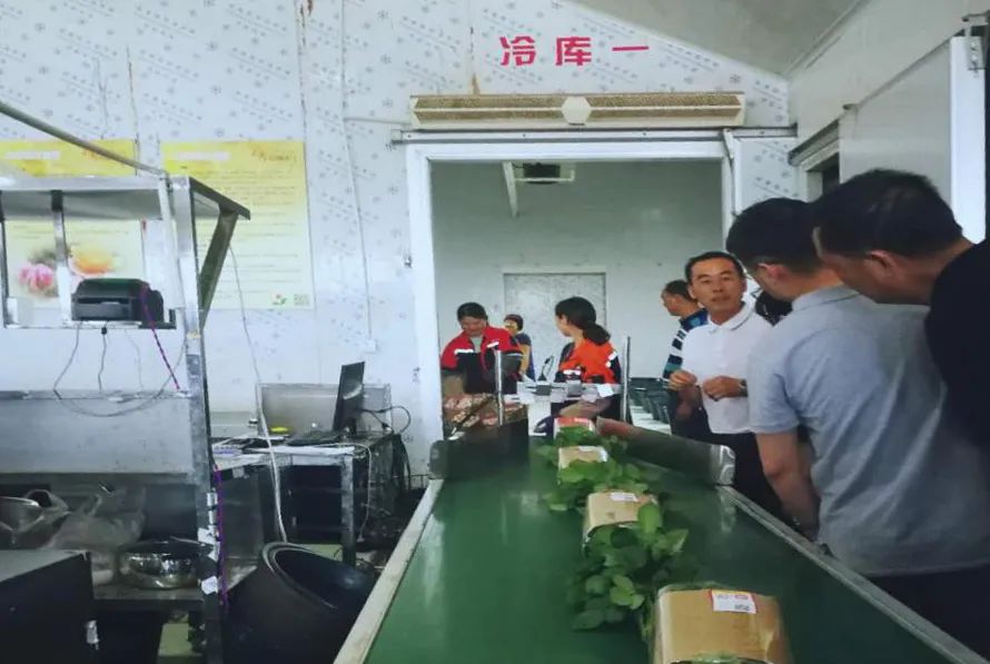 农产品物流发展现状摘要_现状农物流产品分析_农产品物流现状
