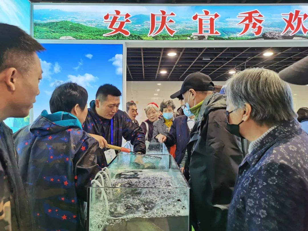 上海特色农产品培育过程_上海农产品特产_上海特色农产品
