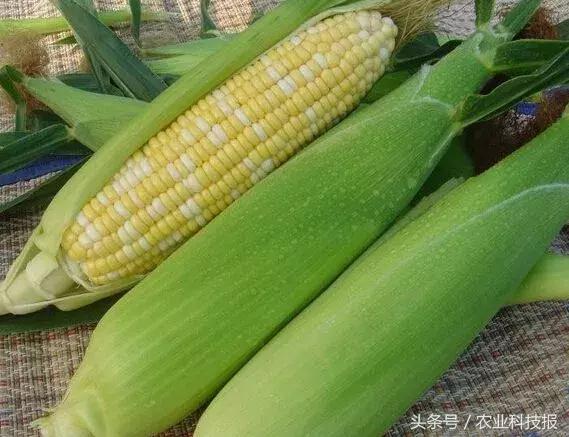 黑龙江农物流产品有哪些_黑龙江农产品物流_黑龙江农产品流通产业发展中心
