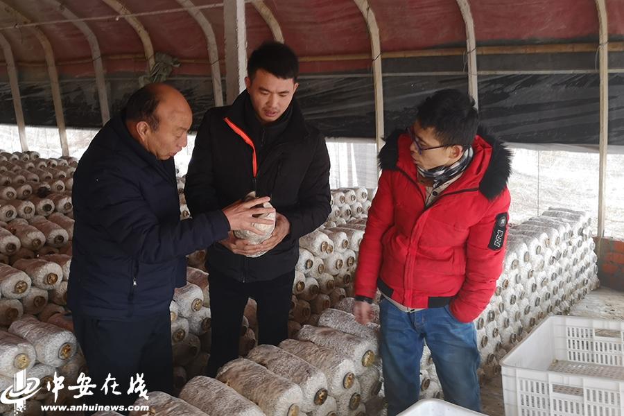 蘑菇大王丁伦保助力贫困户销售滞销蘑菇制品，坚守扶贫一线38年