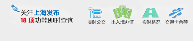崇明世界级生态岛发展访谈：从上海后花园到长三角中央公园的转变