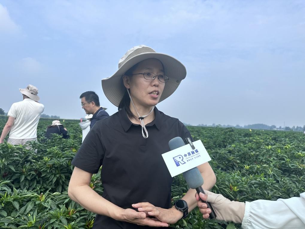 农药农绿色质量安全产品包括_绿色农药与农产品质量安全_农药农绿色质量安全产品有哪些